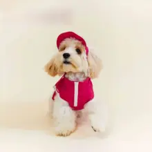 春夏用ピンクの犬用アウトドア日焼け防止ウェア【収納可能・かわいい・快適】