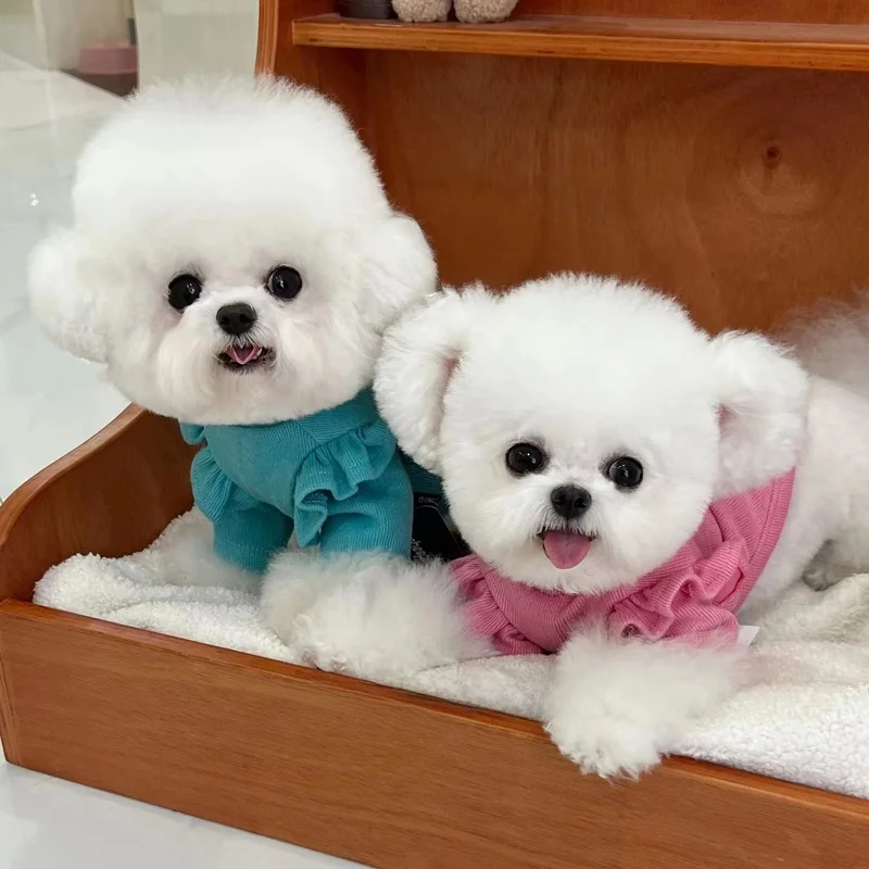 犬服 中型犬 冬用 快適 保温 小フリル ニット：ズボラでも飼えるペットの冬の着用ガイド
