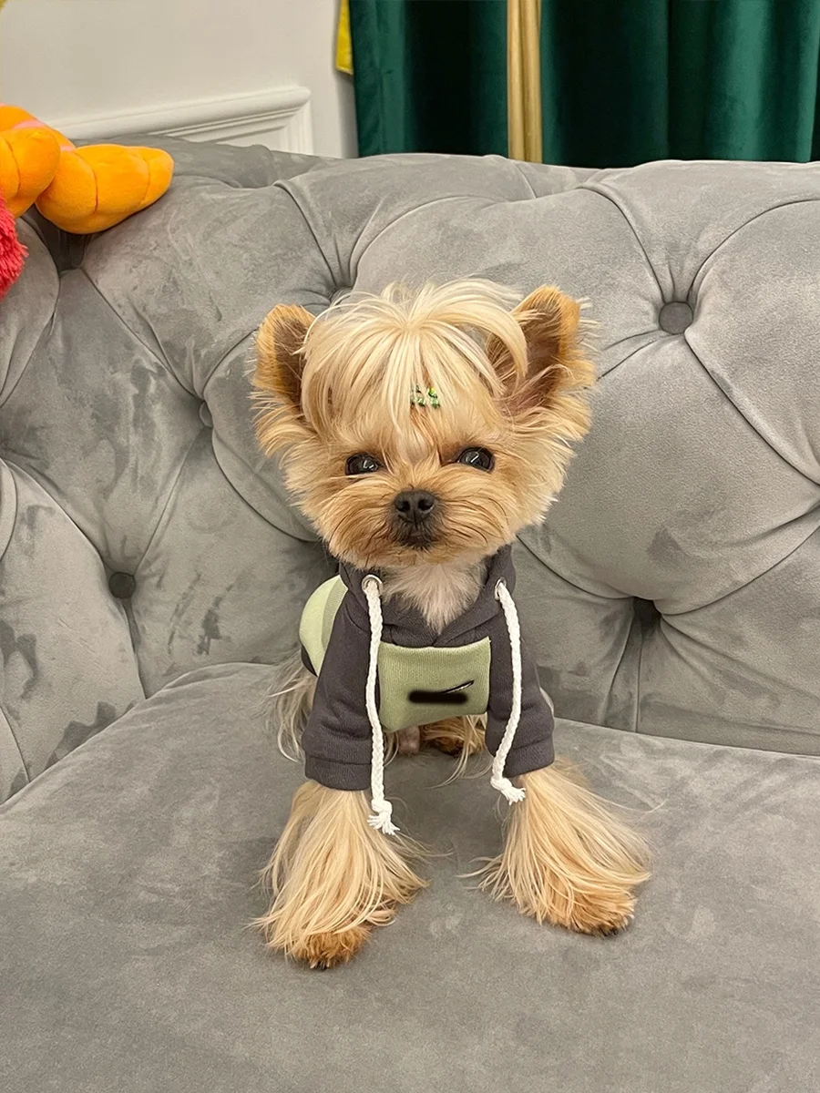 ハーネス付き犬服の選び方：小甜粥マルチーズ・ヨークシャーテリア用フード付きウェア