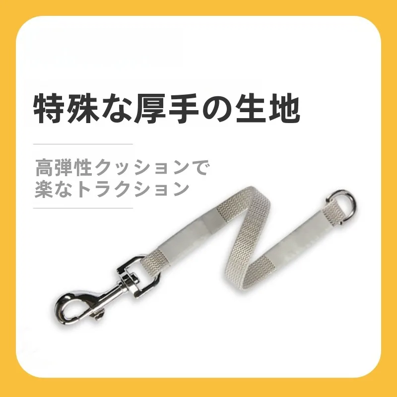 犬のお散歩グッズをコスパ良く揃える方法 - ダブルヘッド引きリードの仕組みと特性