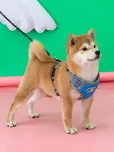 犬用ハーネスリード【中型犬対応・柴犬・胸部固定式・ペット用】