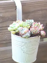 おしゃれなバルコニー用プランターラック【多肉植物用・吊り下げ式】