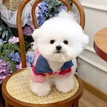 犬用衣服 リード付き 秋冬モデル ビションフリーゼ テディ ポメラニアン 小型犬 シュナウザー