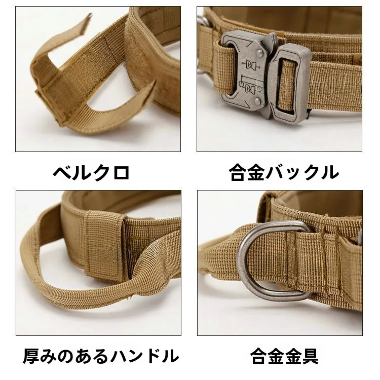 犬のお散歩グッズをコスパ良く揃える方法 - 出張用タクティカルドッグカラーの機能と特性