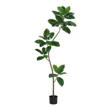 ゴムの木 高級ラグジュアリー 植物 リビングルーム 室内 偽の木