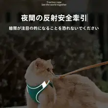 デボンレックス用 ペット用ハーネス【脱出防止・猫用リード付き】