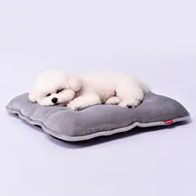 極上の柔らかさ！犬用毛布【テディ・プードル・シーズー・チワワ・コーギー・フレンチブルドッグ対応・春秋冬用】