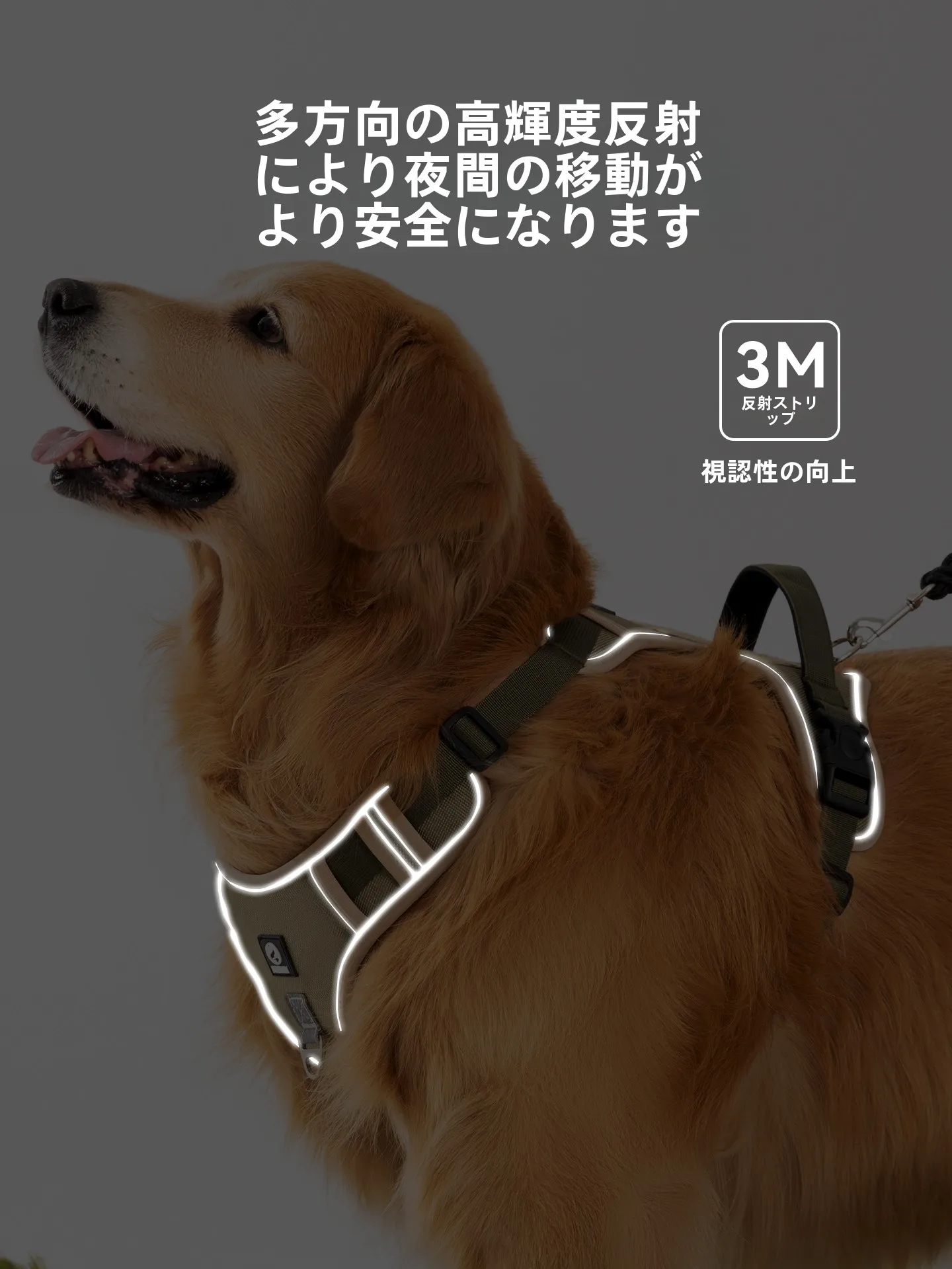 中型犬用ハーネスとリードセット：胸部サポートと耐久性を両立した実用性の評価