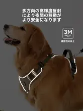 大型犬用ハーネスとリードセット【胸部サポート・耐久性・中型犬対応】