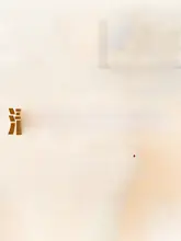 キャミソールとパンツのスカートスタイルコーディネート（セットアップ対応）