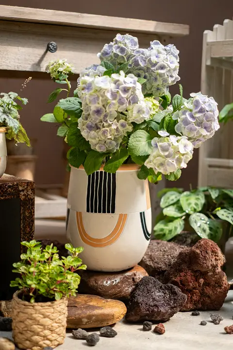 高級コンクリート製 プランター【多肉植物・観葉植物・レトロデザイン・インテリア装飾用】