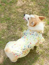 コーギーとビションフリーゼ用 夏用透け感のある衣類【涼感・防毛・日焼け防止用】