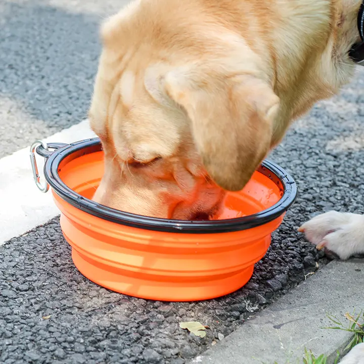 アウトドア用 折りたたみペットボウル【携帯便利・犬用・大型犬向け】