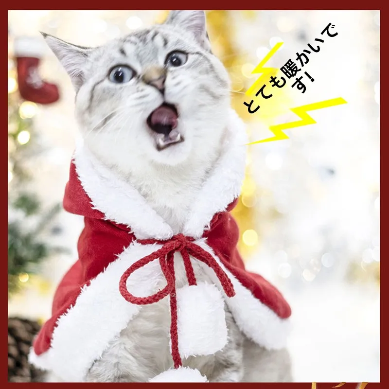 猫飼いが買ってよかったもの・悪かったもの正直に言う｜クリスマス衣装の実際の効果と選び方完全ガイド
