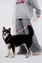 犬用牽引ロープ【防爆設計・中型・大型犬対応】