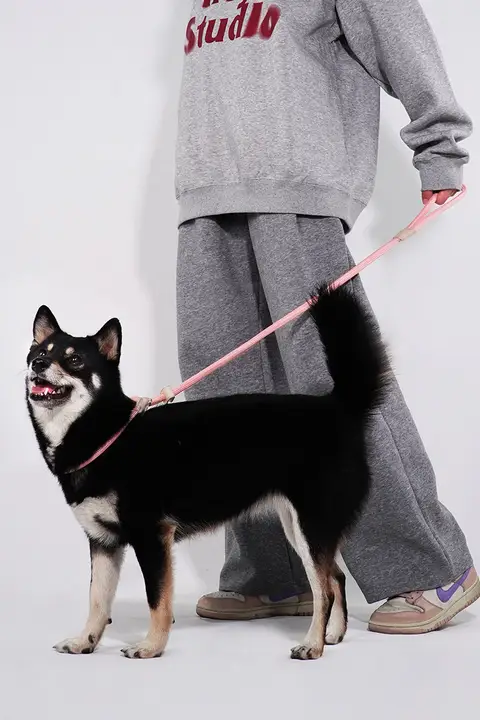 犬用牽引ロープ【防爆設計・中型・大型犬対応】