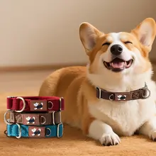 hipidog 犬用首輪【中小型犬・調整可能・リード付き】