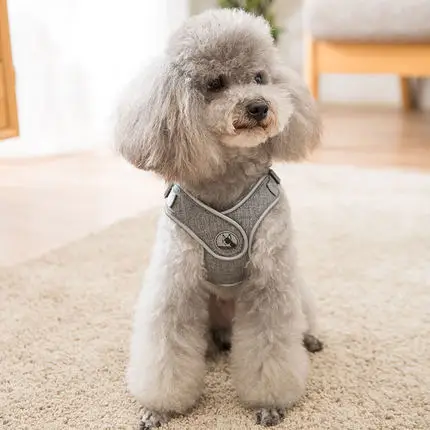 犬のお散歩グッズをコスパ良く揃える方法 - ハーネス付きリードの機能とサイズ対応