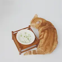 手描きデザインの陶器製ペット用皿【猫用・お手入れ簡単・春の雰囲気】