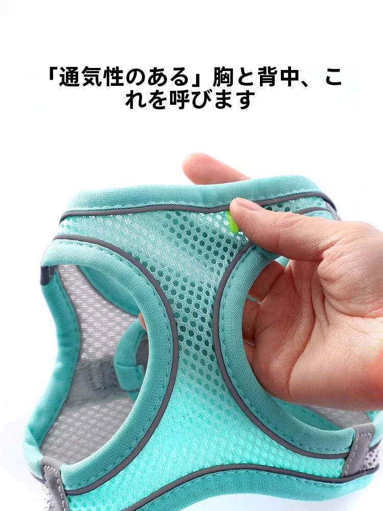 チワワ  とトイプードルのハーフのしつけは難しいのか？実際の飼い主の体験から