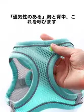 小型犬用ハーネスリード【極上の柔らかさ・お散歩用・テディ】【胸部ハーネスタイプ】