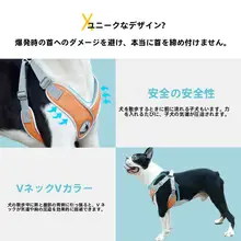 小型犬用ハーネスリード【胸部サポート・お出かけ用】（セットアップ対応）