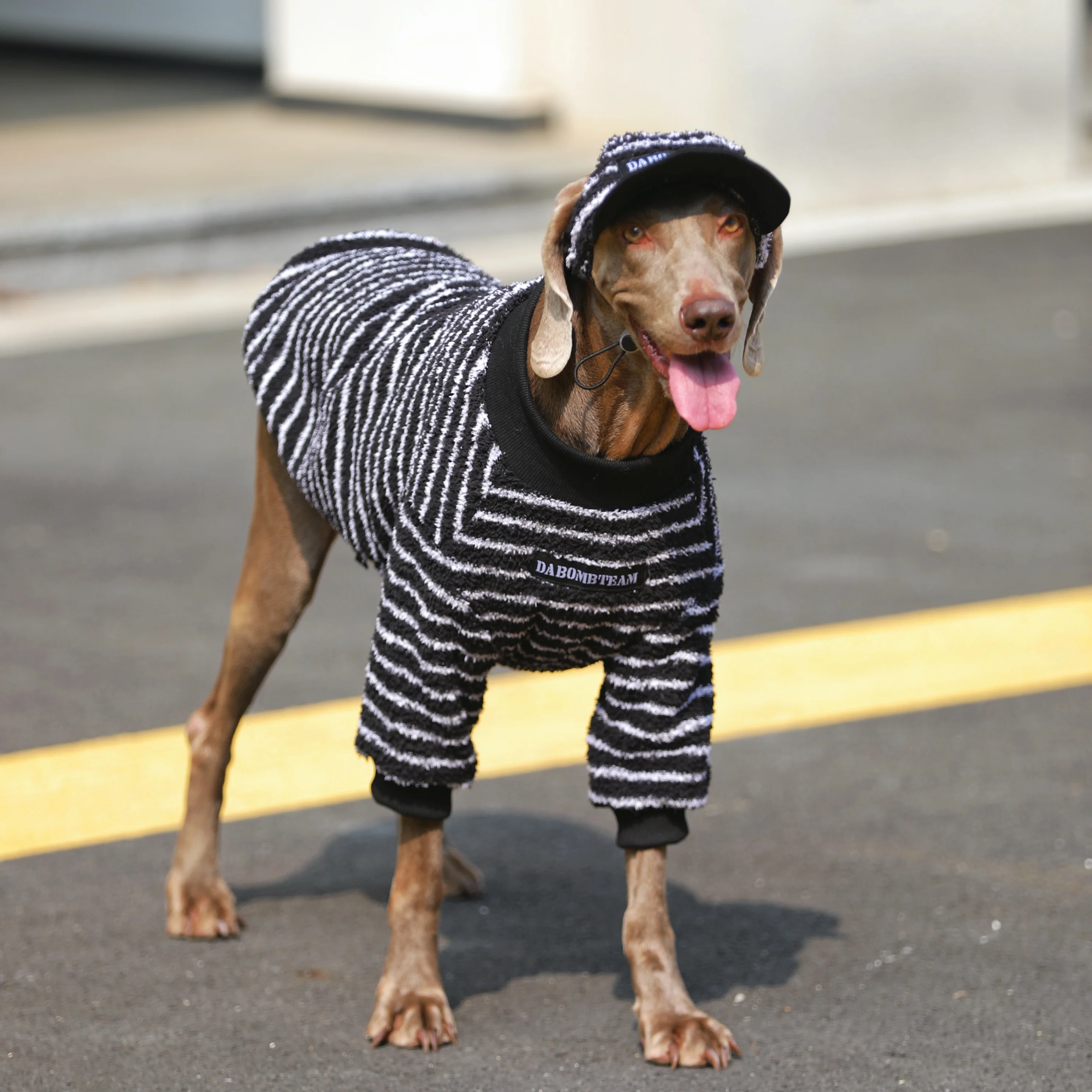 大型犬用ハンモックは冬のアウトドアで保暖性と通気性のバランスを実現