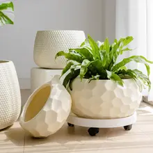 北欧風 グリーン植物用インテリアフラワーポット【モンステラ・バードオブパラダイス・シンプルデザイン】