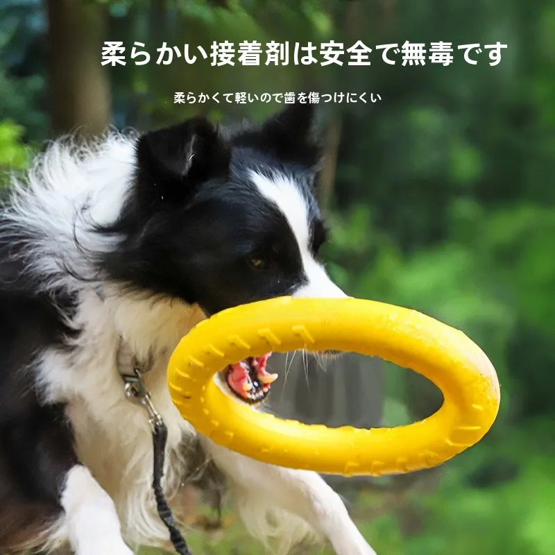 大型犬飼いやすい ペットインタラクティブフリスビーの実用性と耐久性解析