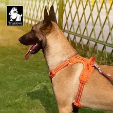 犬用ハーネス付きリード【小型犬から大型犬対応】