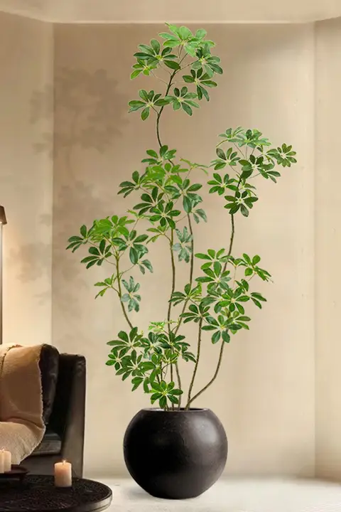 リアルなフェイクプラント！高級感漂う室内用大型観葉植物【リビングやオフィスのインテリアに最適】