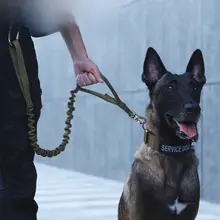 犬用短型トレーニングリード【二重リング・グリップ付き】