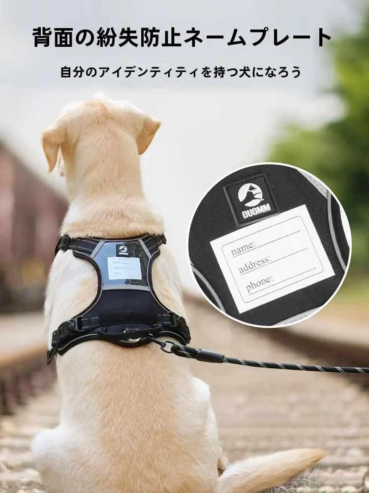 犬のお散歩グッズをコスパ良く揃える方法 - 大型犬用胸部ハーネス付きリードの選定基準