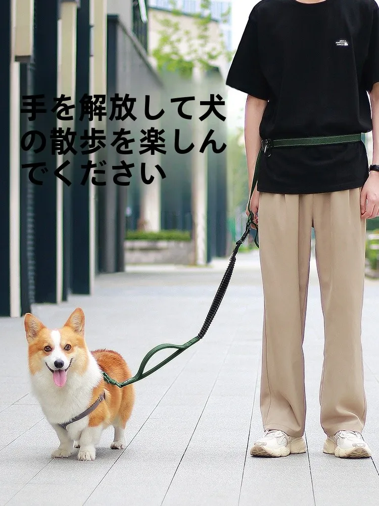 犬のお散歩グッズをコスパ良く揃える方法 - シックスインワンリーシュとウエスト牽引ロープの機能的選定