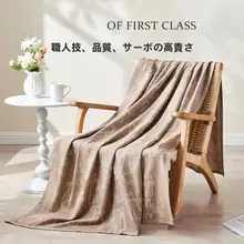 高級感ある航空用ブランケット【ソファ用・夏用・ミニサイズ】