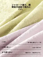 全棉素材のハイウエストショートパンツ【ノー打孔・腹部サポート・無痕デザイン】
