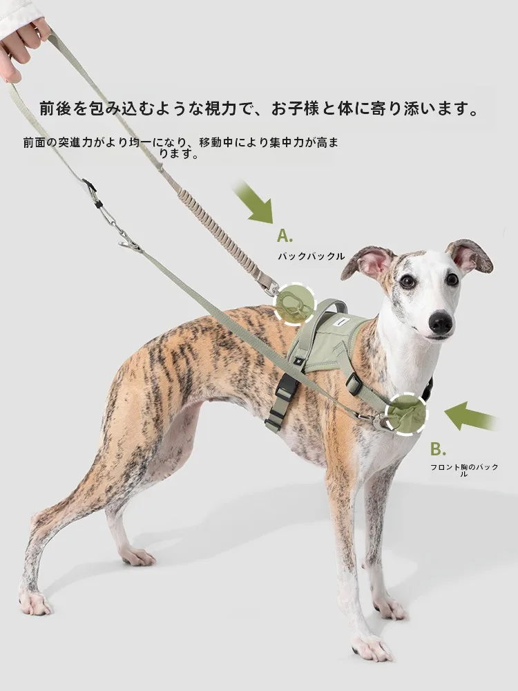犬のお散歩グッズをコスパ良く揃える方法｜通気性と防爆機能が評価される胸ハーネスの選び方