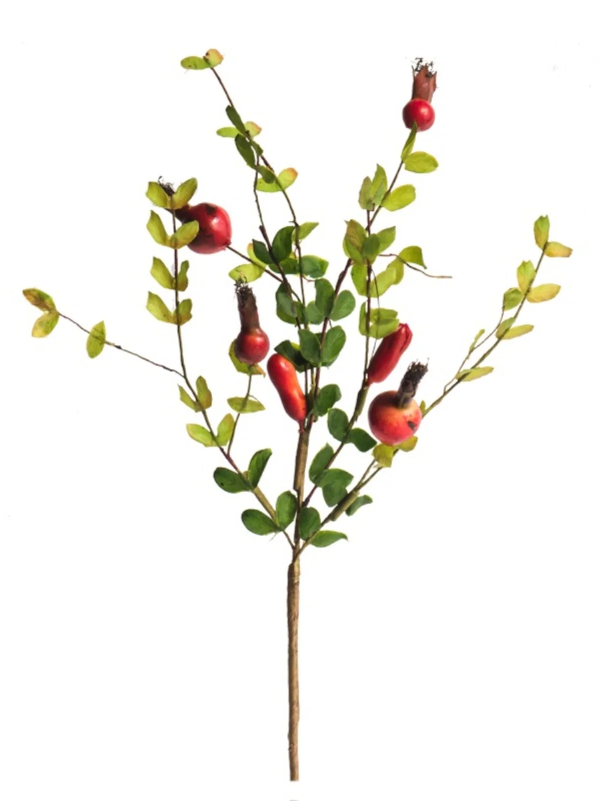 ザクロの実 装飾 花芸 生け花 道具：現代的簡約スタイルで使える干花アクセサリー