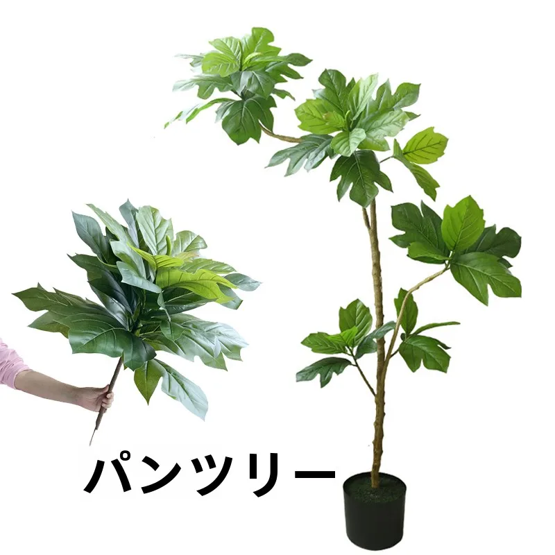 揃えるミニマリスト部屋づくりアイテム｜自然とシンプルさを融合した選定ガイド