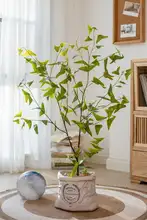 北欧風 シミュレーショングリーンプラント フェイクプラント 飾り用 植物 アレンジメント【リビングルーム用・デコレーション】