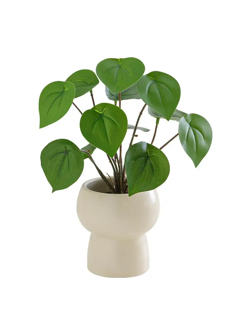 韓国インテリアを再現｜カフェ風部屋の作り方　リアル質感の植物選び完全ガイド