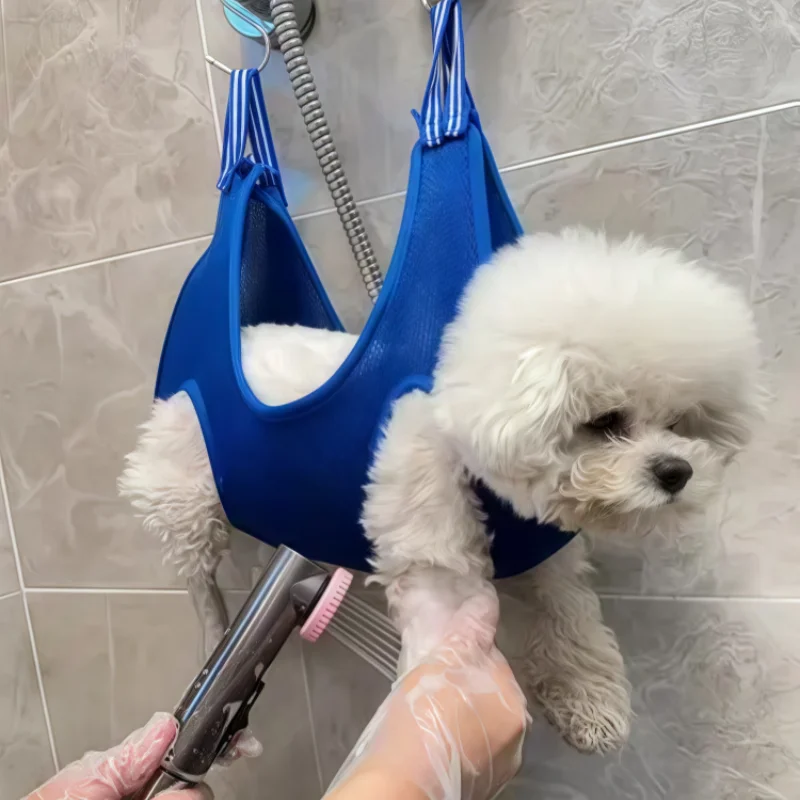 犬の介護用品の選び方ってどうすればいいの？厳選4選で高齢犬の生活サポートを実現