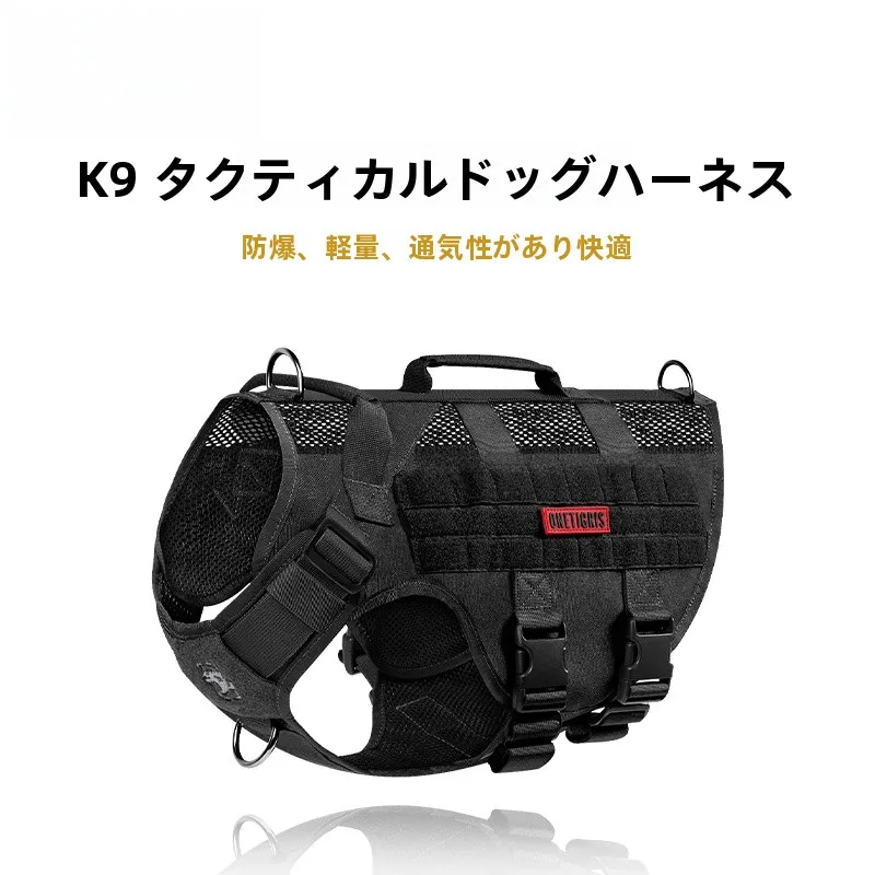 犬のお散歩グッズをコスパ良く揃える方法　完全ガイド
