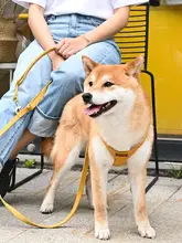 調節可能な犬用リード【ショルダー・クロスボディ・2匹用・中型犬・小型犬対応】