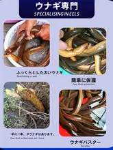 不銹鋼製 伸縮式ウナギ釣りフック【老式デザイン・簡単操作】