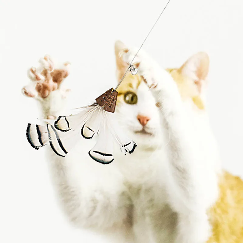 リアルな羽根付き猫じゃらし：超長いスティックと交換可能なヘッドの使い方と性能