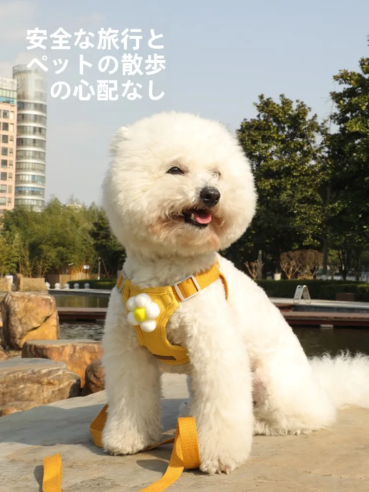 犬用ハーネス付きリード：中小型犬向けの脱走防止と調整可能な設計