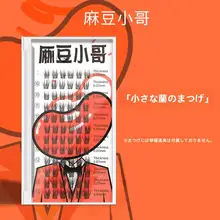 マドウ小哥 小蘭花タイプ 自然派一束単位つけまつげ【初心者向け・段階的配置・ミックスデザイン】