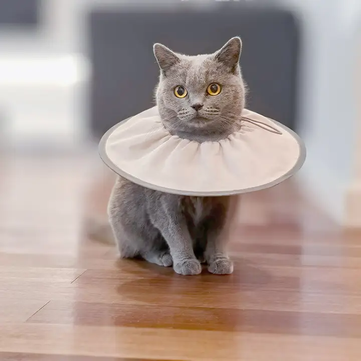 ペット用エリザベスカラー【猫用・去勢ケア・犬用美容カラー・舐め防止】