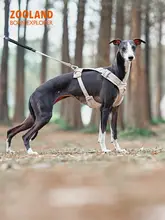 ZOOLAND 犬用ハーネスリード【小型・中型・大型犬対応・調整可能】